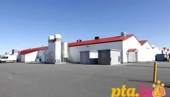 Algalif Iceland - Bogatröð 10