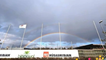 Avis völlurinn - Reykjavík