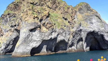 Beluga Sanctuary - Vestmannaeyjabær