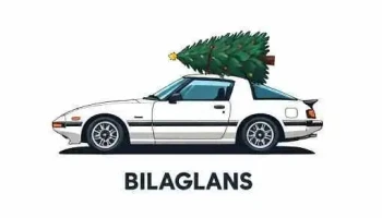 Bílaglans - 260 Njarðvík