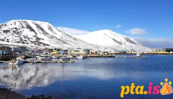 Dalvík - Dalvík