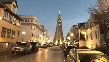 Dýralæknastofa Dagfinns - Reykjavík