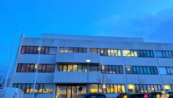 Einhverfusamtökin - Reykjavík
