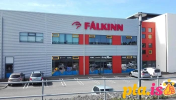Fálkinn Ísmar - Kópavogur