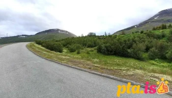 Ferskur og fallegur - Reyðarfjörður