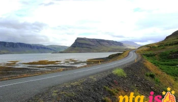 Foraging - Hvalfjörður - Iceland