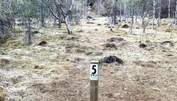 Frisbígolfvöllurinn í Hveragerði - Hveragerði