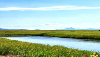 Friðland í Flóa - Eyrarbakki