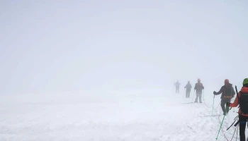 Go West Iceland - Arnarstapi