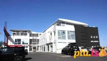 Göngureining - Reykjavík