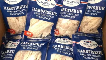 Goðaborg - Iceland