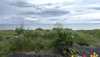 Grásleppuskúrarnir í Grímsstaðavör - Reykjavík