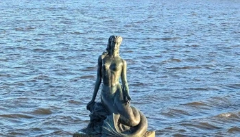 Hafmeyjan • Nína Sæmunds - 101 Reykjavík