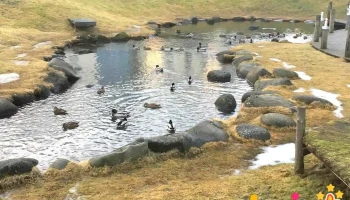 Hafnarfjörður upplýsingamiðstöð ferðamanna - Hafnarfjörður