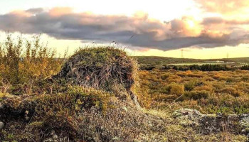 Heiðmörk - Kópavogur