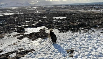 Helgafell - Iceland