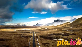 Hofsstaðaskógur - 342