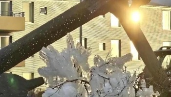 Hrafnista Hafnarfirði - Hafnarfjörður