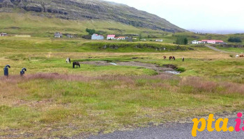 Icelandic Horse Rental - Þjóðvegur