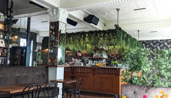 Jungle Cocktail Bar - Austurstræti 9