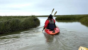 Kayakferðir - Stokkseyri