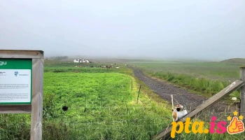 Kerling í Eyjafirði - Ísland