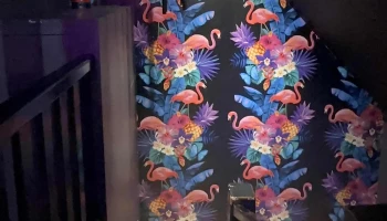 Kíkí Queer Bar - Reykjavík