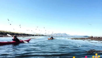 Kontiki Kayak Tours - Stykkishólmur