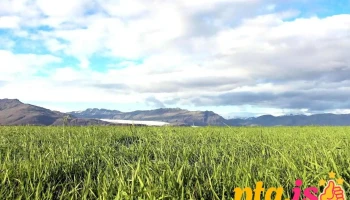 Lífland - skrifstofur og vöruhús - Reykjavík