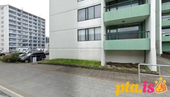 Loftstokkahreinsun - Kópavogur