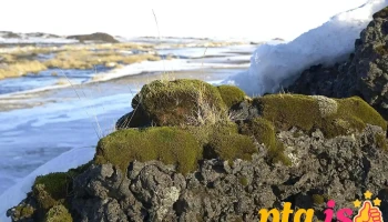 Mýrdalssandur - Iceland