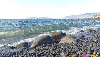 Norðurkotsvör - Reykjavík