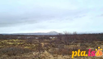 Öfugsnáði - Vallarvegur