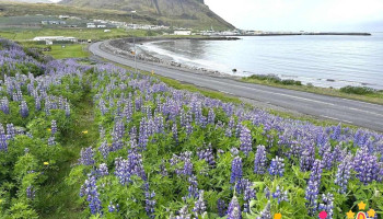 Ólafsvík View Point - Ólafsvík