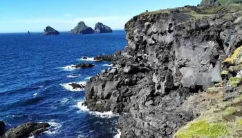 Puffins of Westman Isles - Vestmannaeyjabær