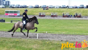 Reiðhöllin Víðidal - 110 Reykjavík