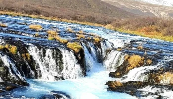 Reykjaskógur - Bláskógabyggð