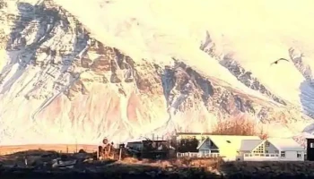 Samtök fyrirtækja í sjávarútvegi (sfs) - Reykjavík