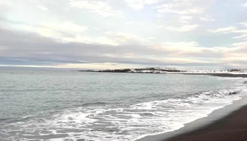 Sandvík - Iceland