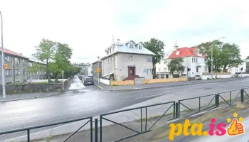 Sápusmiðjan ehf. - 101