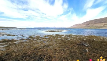 Seal lookout - Litlibær
