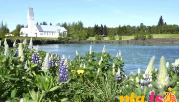 Selfoss - Selfoss