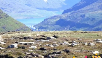 Seyðisfjarðarflói - Iceland
