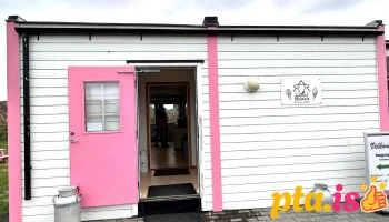 Skútaís - Farm Ice Cream - Skútustaðahreppur