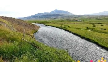 Steinsstaðalaug - 561