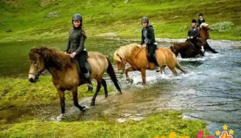 Stora Sandfell Horse Rental - Egilsstaðir
