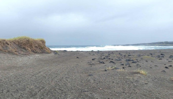 Stóra Sandvík - Froad Sandvíkurslóði