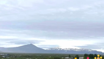 Strútur - Ísland