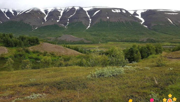 Sundlaugin Illugastöðum - Illugastadhir