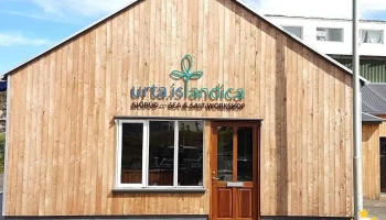 Urta Islandica - Sea and salt workshop - Keflavík